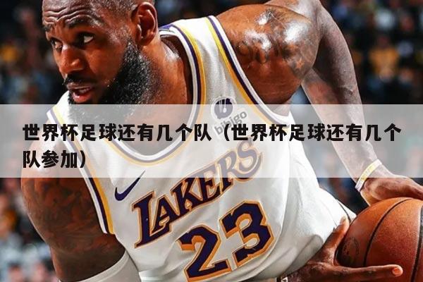 世界杯足球还有几个队（世界杯足球还有几个队参加）