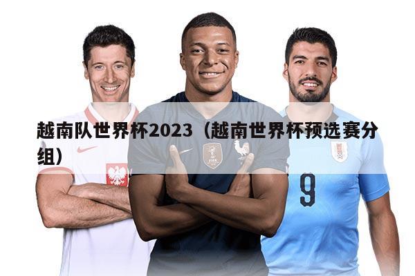 越南队世界杯2023（越南世界杯预选赛分组）