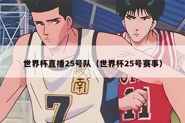 世界杯直播25号队（世界杯25号赛事）