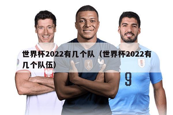 世界杯2022有几个队(世界杯2022有几个队伍)