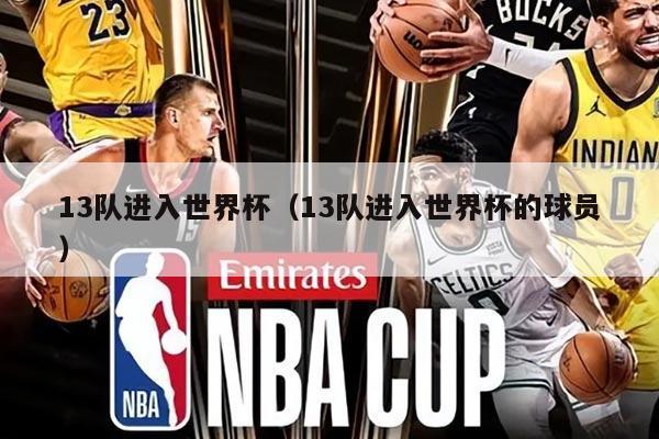 13队进入世界杯（13队进入世界杯的球员）