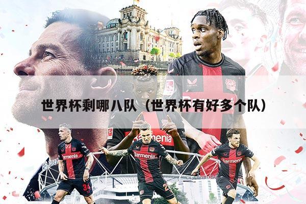 世界杯剩哪八队（世界杯有好多个队）