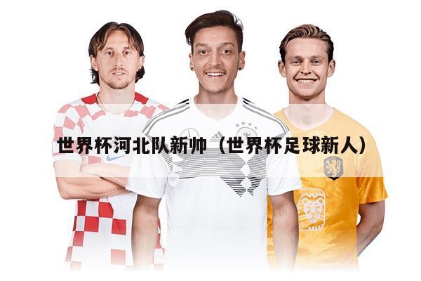 世界杯河北队新帅（世界杯足球新人）
