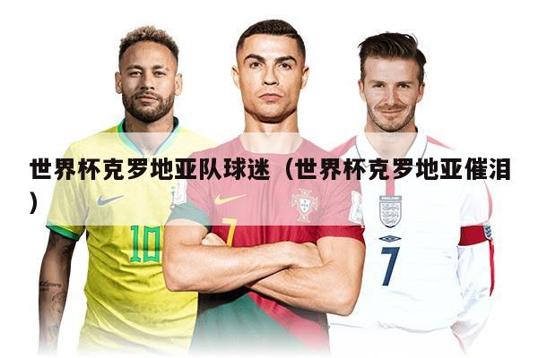 世界杯克罗地亚队球迷（世界杯克罗地亚催泪）