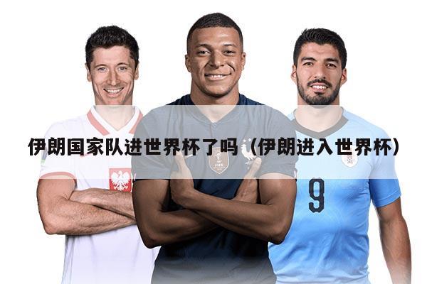 伊朗国家队进世界杯了吗（伊朗进入世界杯）