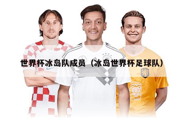世界杯冰岛队成员（冰岛世界杯足球队）
