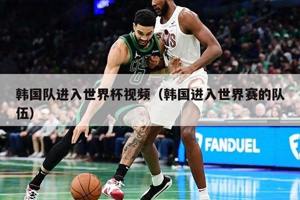 韩国队进入世界杯视频（韩国进入世界赛的队伍）