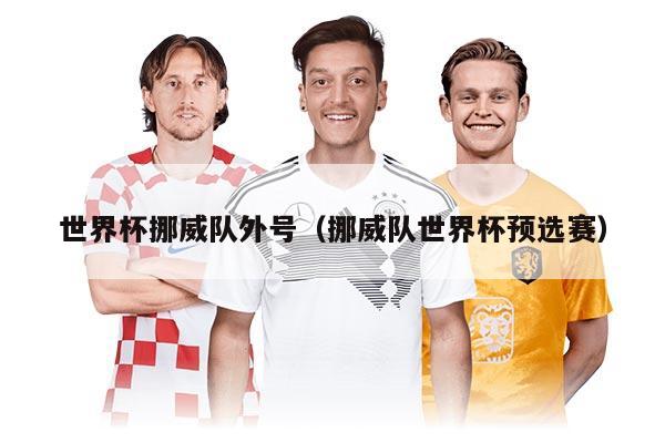世界杯挪威队外号（挪威队世界杯预选赛）