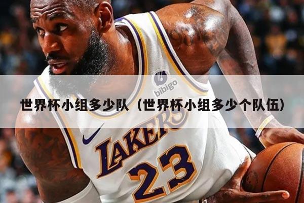 世界杯小组多少队（世界杯小组多少个队伍）
