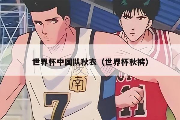 世界杯中国队秋衣（世界杯秋裤）