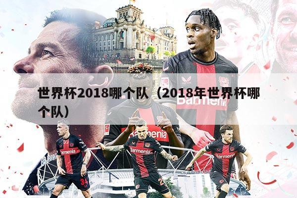 世界杯2018哪个队(2018年世界杯哪个队)