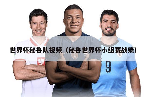 世界杯秘鲁队视频（秘鲁世界杯小组赛战绩）