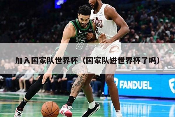 加入国家队世界杯（国家队进世界杯了吗）