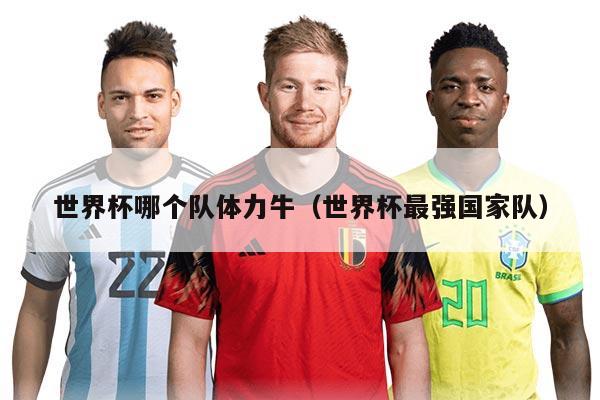 世界杯哪个队体力牛（世界杯最强国家队）