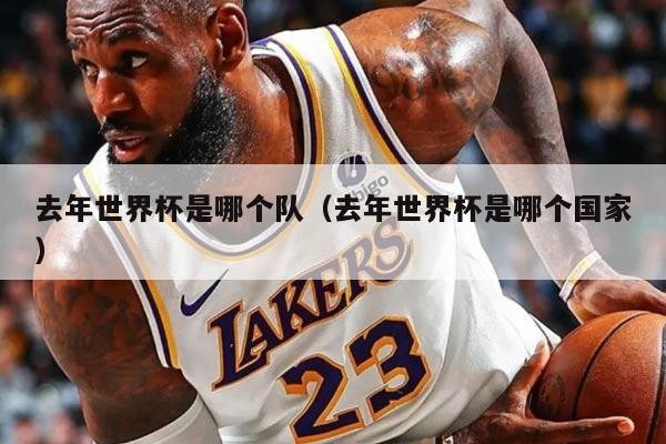 去年世界杯是哪个队（去年世界杯是哪个国家）