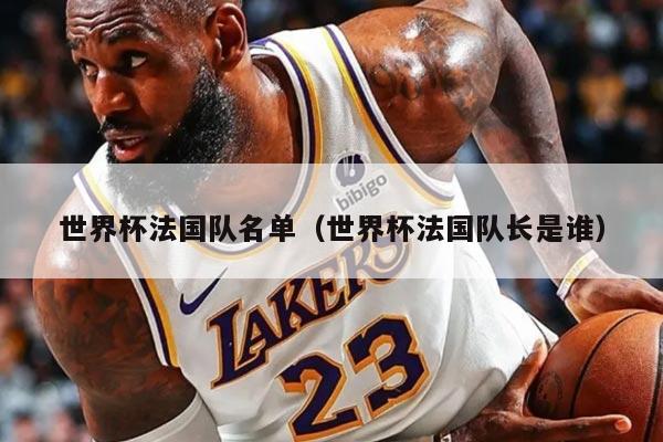 世界杯法国队名单（世界杯法国队长是谁）