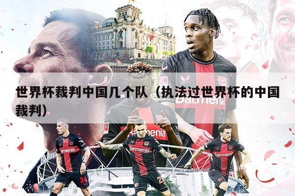 世界杯裁判中国几个队（执法过世界杯的中国裁判）