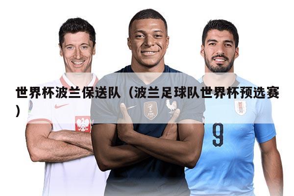 世界杯波兰保送队（波兰足球队世界杯预选赛）