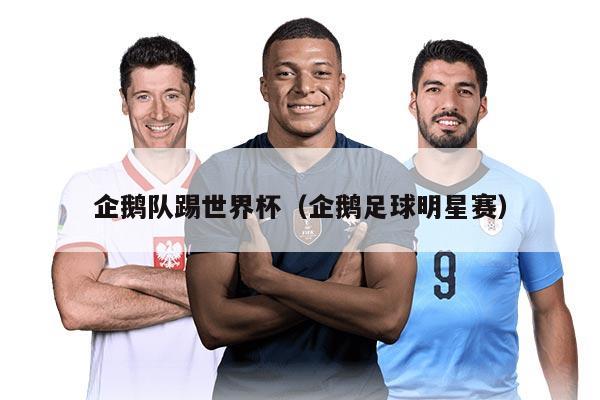 企鹅队踢世界杯（企鹅足球明星赛）