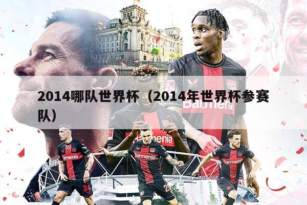 2014哪队世界杯（2014年世界杯参赛队）