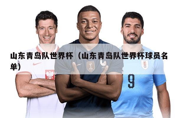 山东青岛队世界杯（山东青岛队世界杯球员名单）