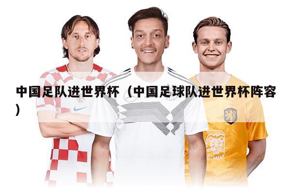 中国足队进世界杯（中国足球队进世界杯阵容）