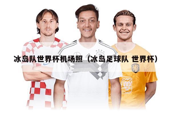 冰岛队世界杯机场照（冰岛足球队 世界杯）