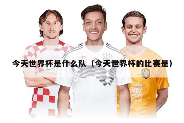 今天世界杯是什么队（今天世界杯的比赛是）
