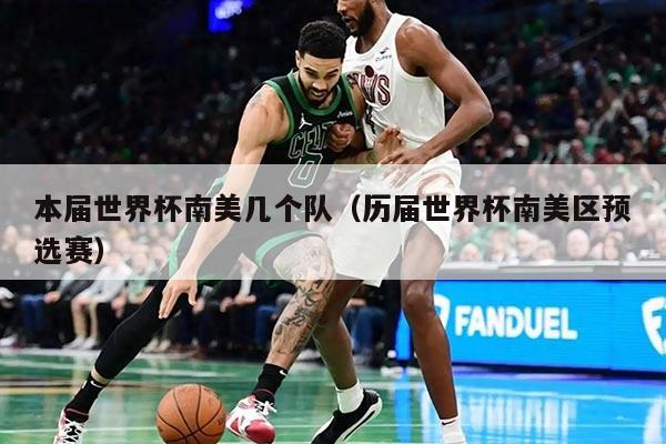 本届世界杯南美几个队（历届世界杯南美区预选赛）
