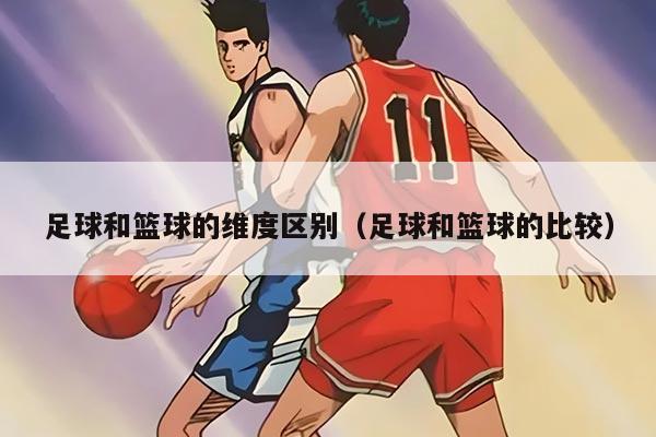 足球和篮球的维度区别（足球和篮球的比较）