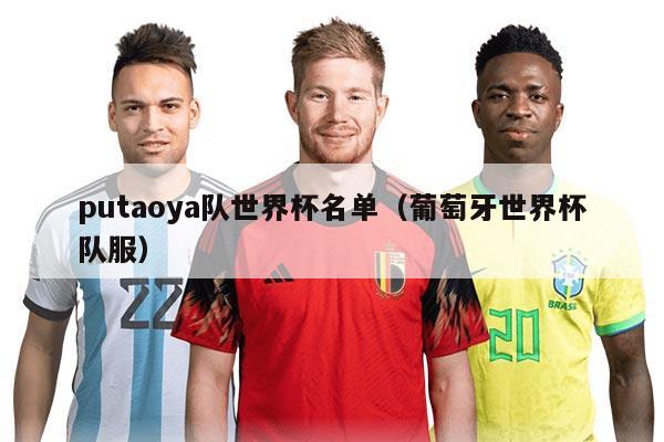 putaoya队世界杯名单（葡萄牙世界杯队服）