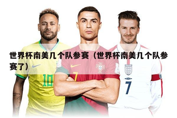 世界杯南美几个队参赛（世界杯南美几个队参赛了）