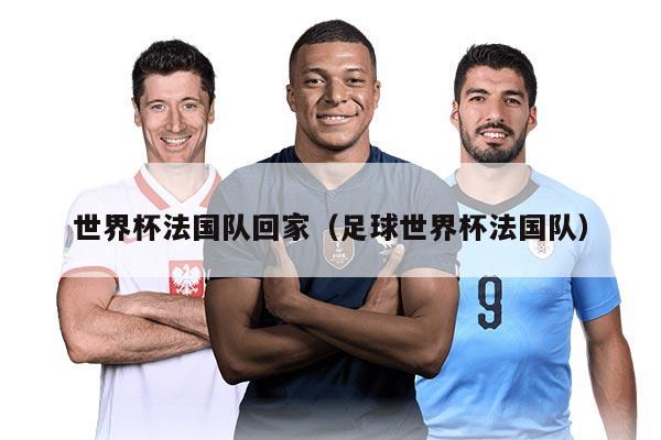 世界杯法国队回家（足球世界杯法国队）