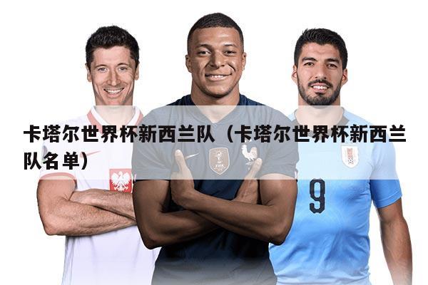 卡塔尔世界杯新西兰队（卡塔尔世界杯新西兰队名单）