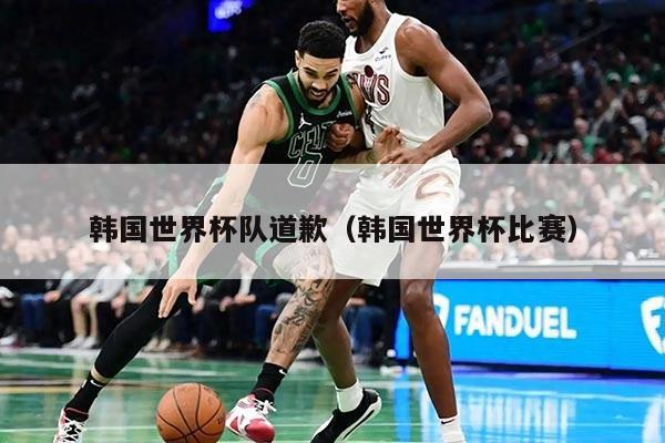 韩国世界杯队道歉(韩国世界杯比赛)