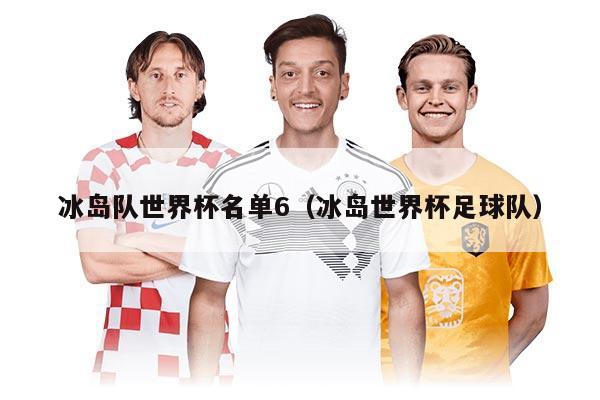 冰岛队世界杯名单6（冰岛世界杯足球队）