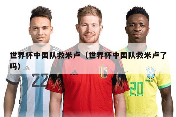 世界杯中国队救米卢（世界杯中国队救米卢了吗）