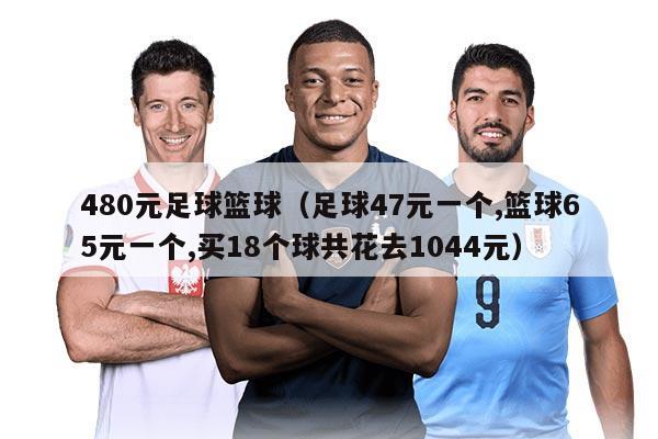 480元足球篮球（足球47元一个,篮球65元一个,买18个球共花去1044元）