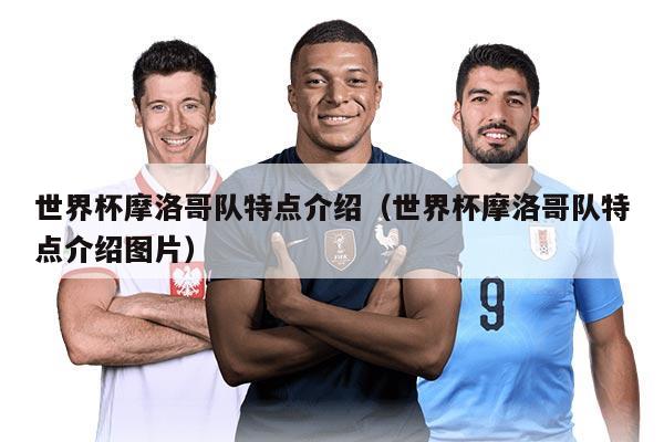 世界杯摩洛哥队特点介绍（世界杯摩洛哥队特点介绍图片）