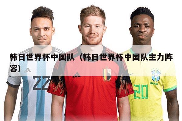 韩日世界杯中国队（韩日世界杯中国队主力阵容）