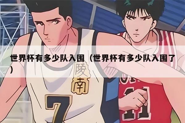 世界杯有多少队入围（世界杯有多少队入围了）