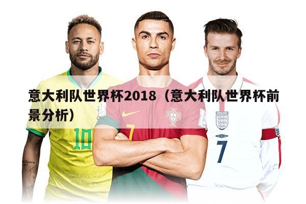 意大利队世界杯2018（意大利队世界杯前景分析）