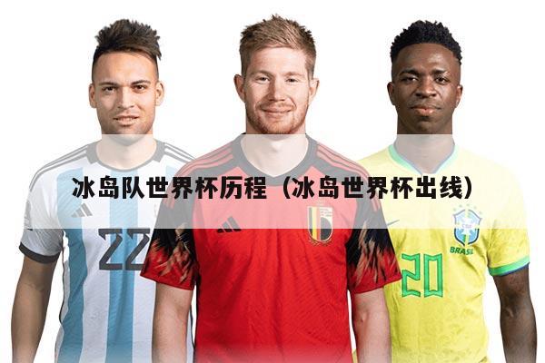 冰岛队世界杯历程（冰岛世界杯出线）