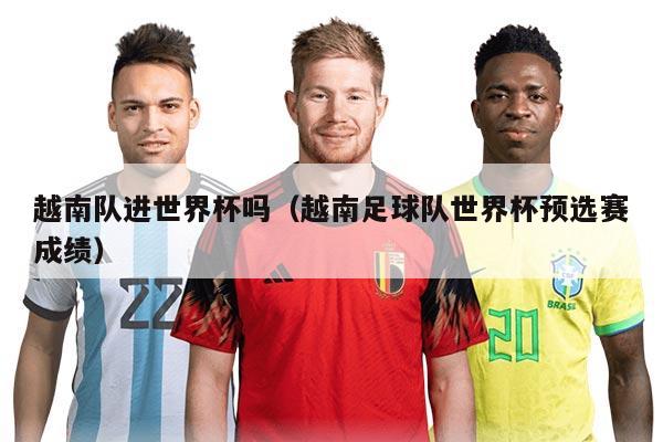 越南队进世界杯吗(越南足球队世界杯预选赛成绩)