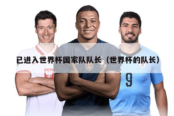 已进入世界杯国家队队长（世界杯的队长）