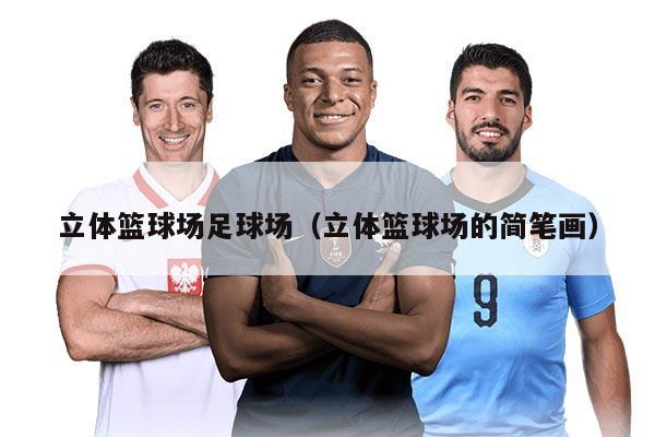 立体篮球场足球场(立体篮球场的简笔画)